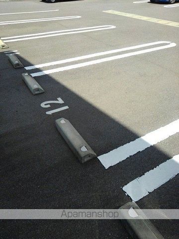 アルバ　カーサⅡ その他