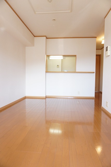 アンジェリカ　Ａ その他