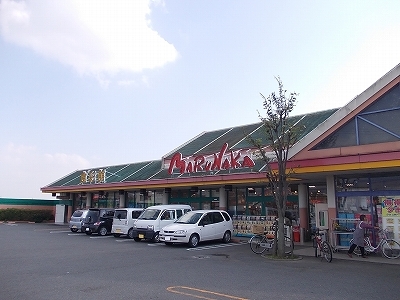 ヴィオラ その他