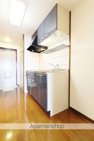 ベルクシュロス その他
