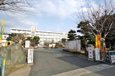 エヴァーグリーン その他