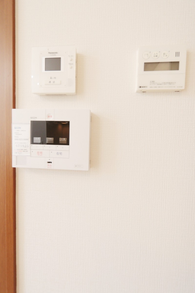 エヴァーグリーン その他