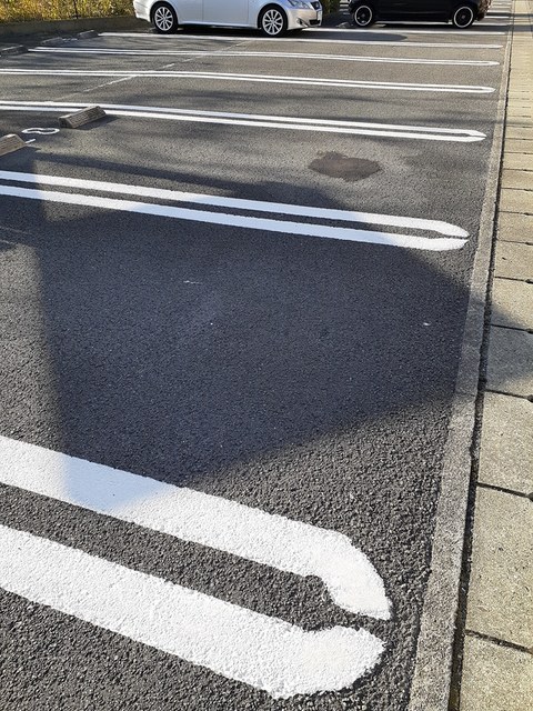 アンジェリカ　Ｅ その他