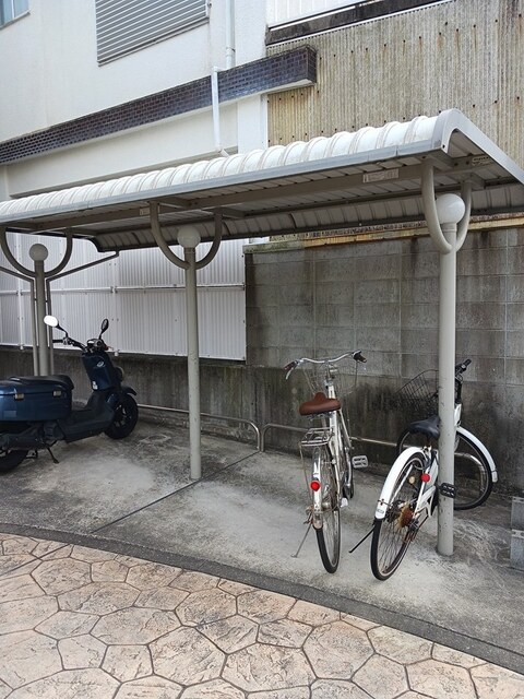 キルシュ　ブラウ その他