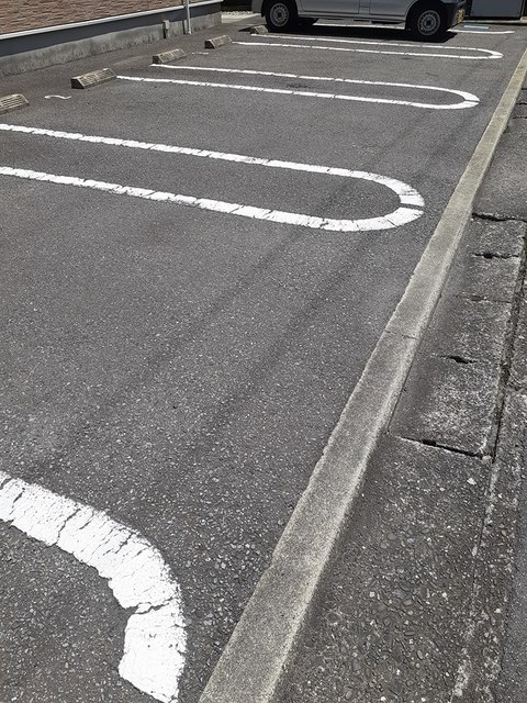 グリーンシトラス その他