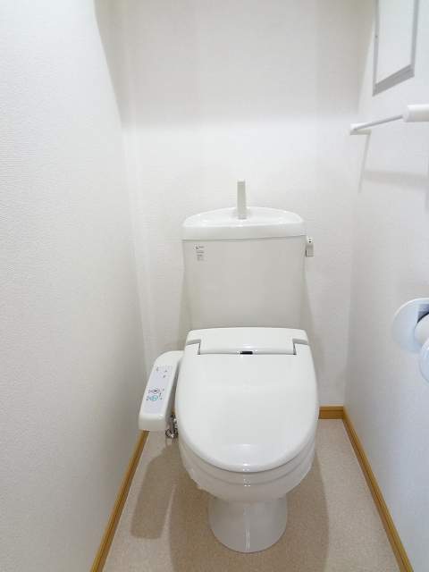 アンジェリカ　Ｄ その他