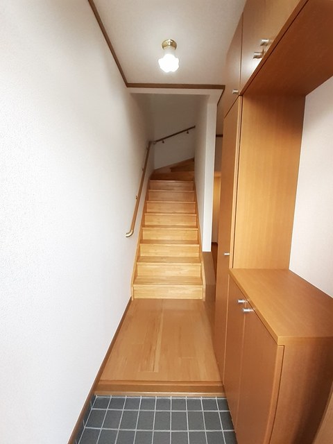 Ｌａｗ　Ｆｌｏｗｅｒ その他