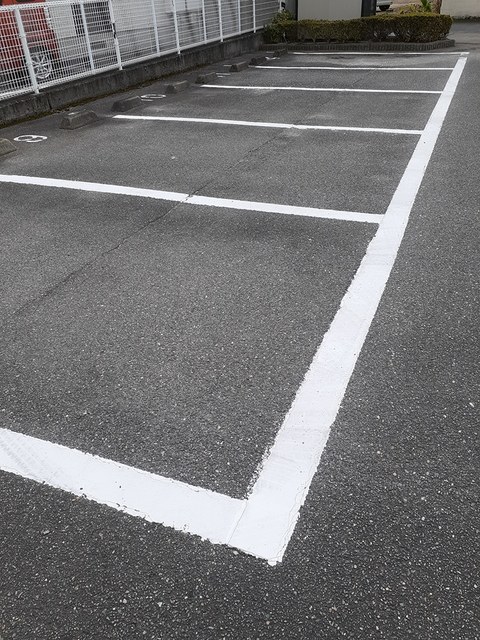 Ｌａｗ　Ｆｌｏｗｅｒ その他