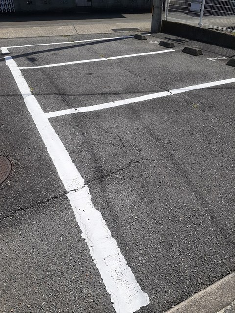 Ｌａｗ　Ｆｌｏｗｅｒ その他