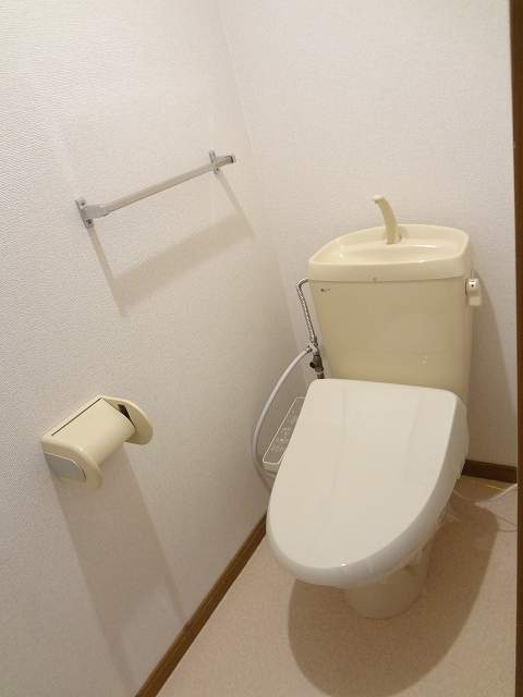 アムール・ハザカＤ その他