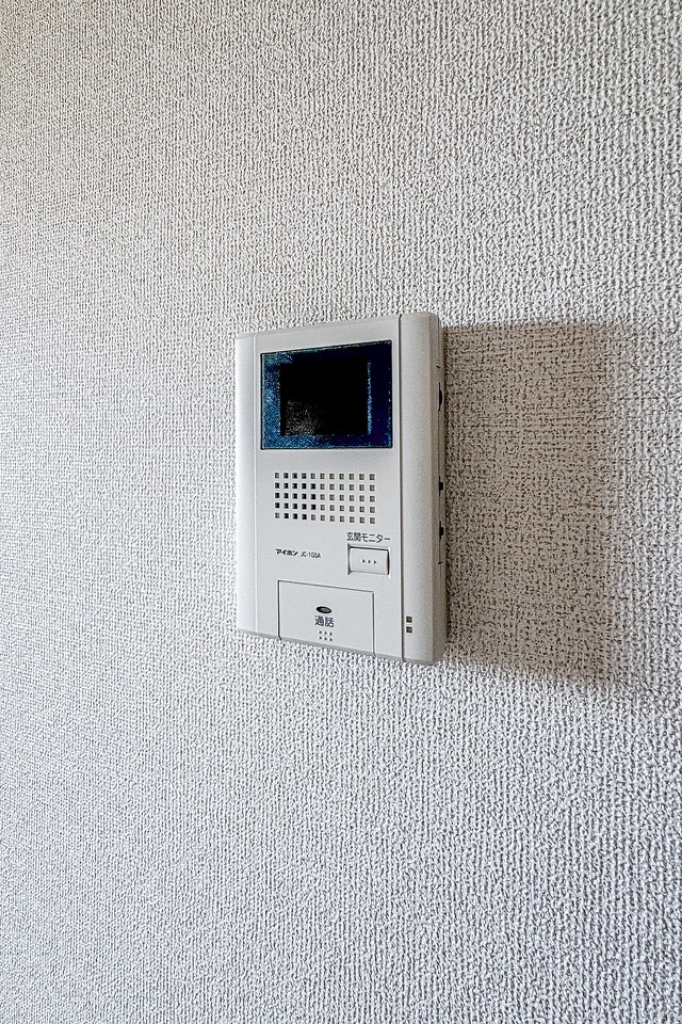 ヴィオラ その他