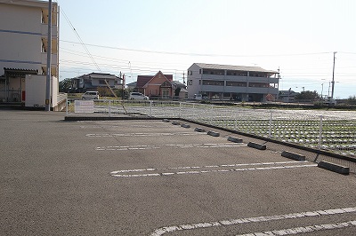 ヴィオラ その他
