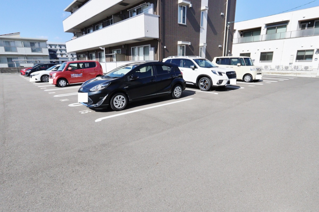 ヴィオレータ その他