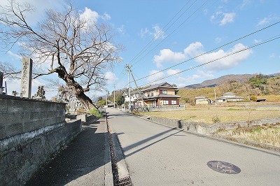 岩倉戸建て その他