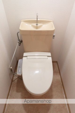 コパンジャンティ原 その他