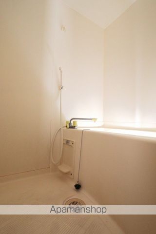 コパンジャンティ原 その他