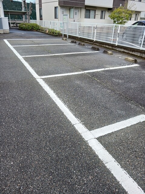Ｌａｗ　Ｆｌｏｗｅｒ その他