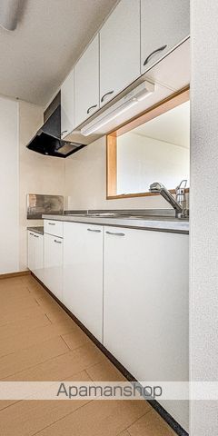 ヴィオラ その他