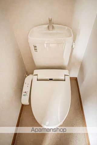 ヴィオラ その他