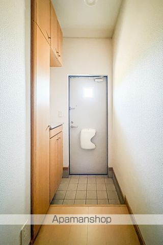 ヴィオラ その他