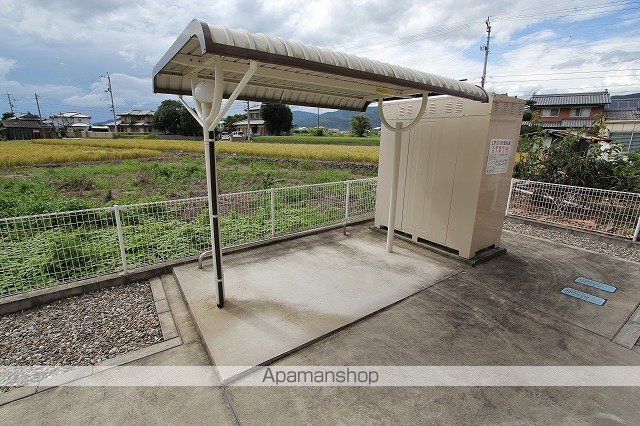 ヴィオラ その他