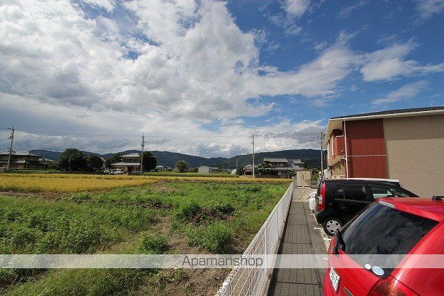 ヴィオラ その他