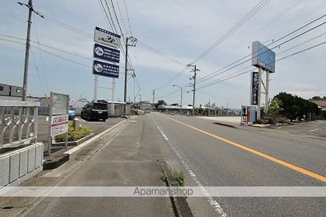 ヴィオラ その他