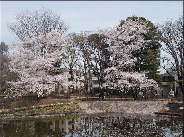 メゾン戸越公園 その他