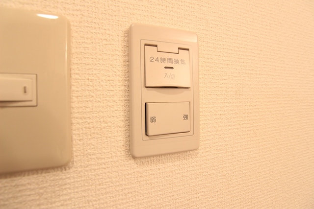 ウエダヤビル その他