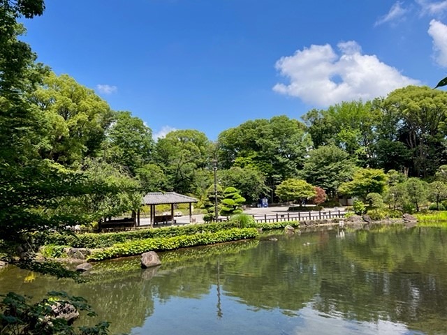 東京都品川区西品川2-17-21戸建 公園