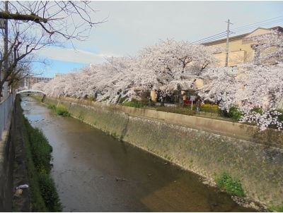 OVEST COURT その他