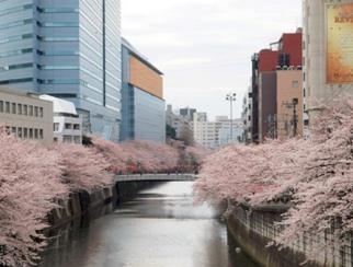 山王スカイマンション その他