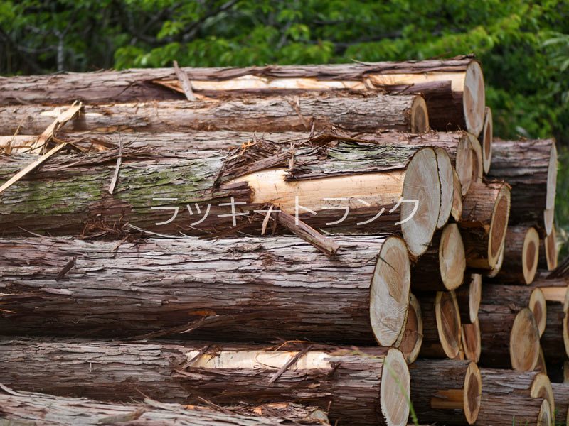 ラッキートランク・アクセス前野町 その他