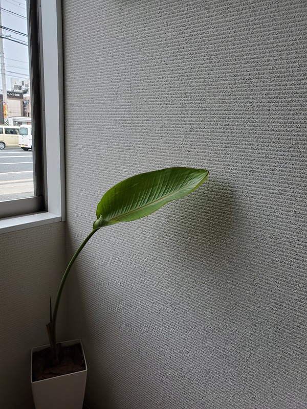 仲光アパートè ベランダ