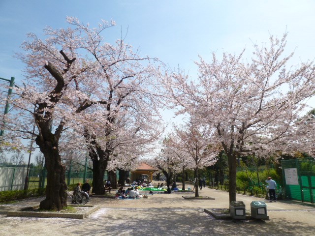 パークノヴァ松原 その他外観4
