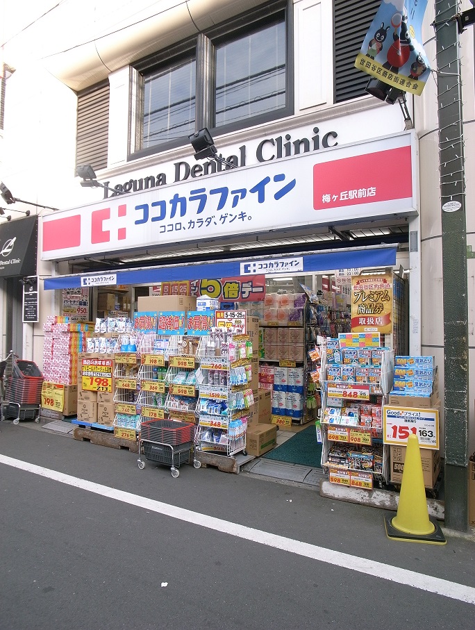 パークハイムスダ 周辺画像5