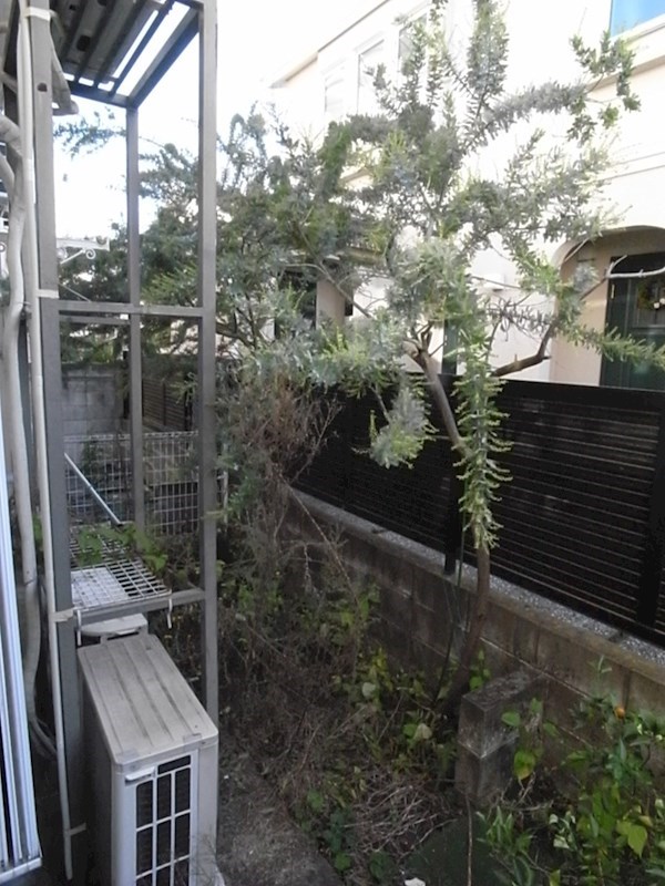 オークヒル その他4