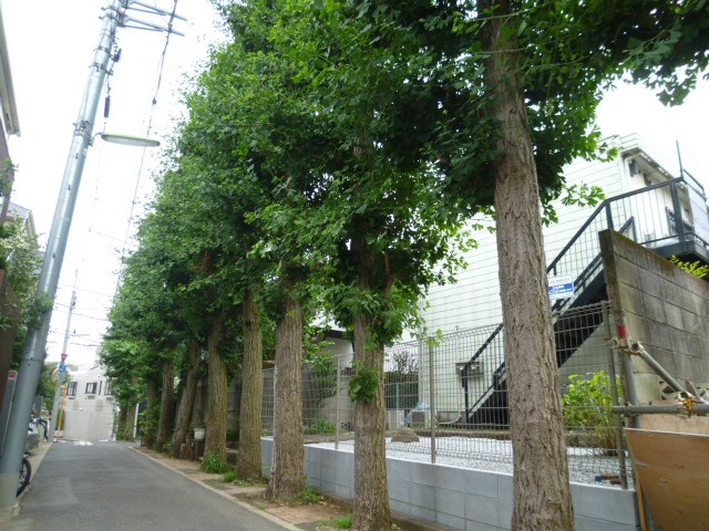 銀杏ロッヂ その他外観2