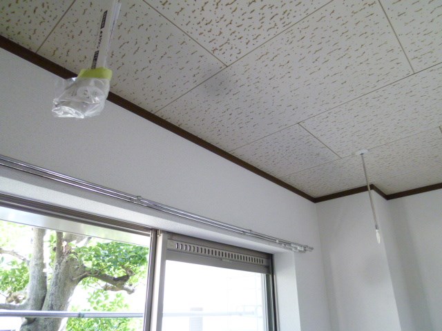 エスコート・ユーアイ その他4