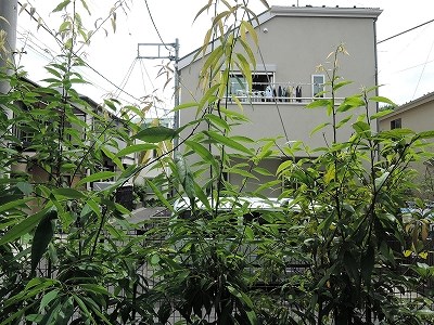 サウステラス高井戸 その他3