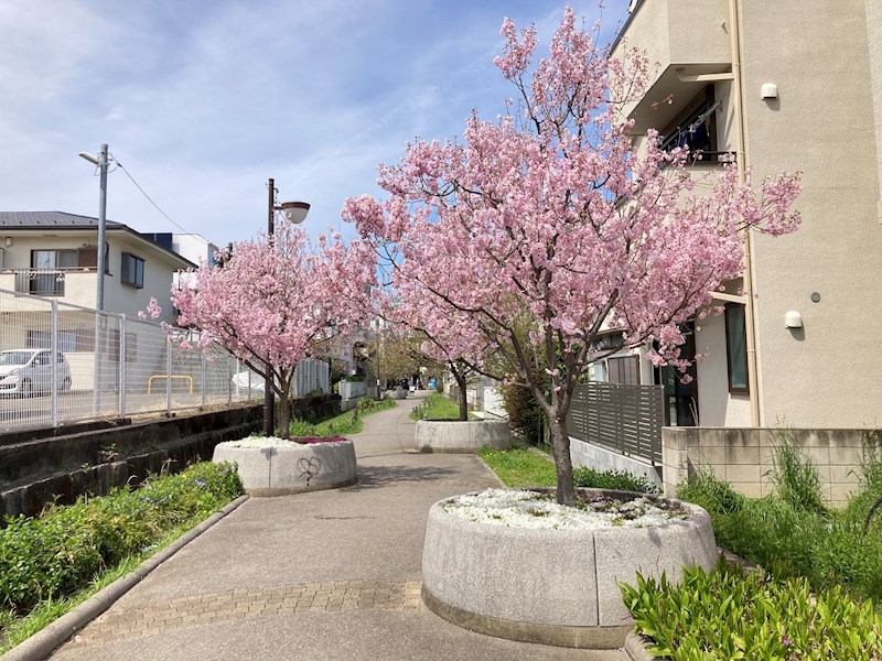 ナビウスセタガヤ   その他13