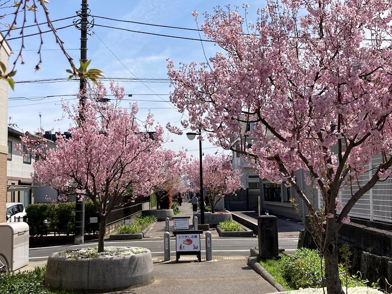 ナビウスセタガヤ   その他14