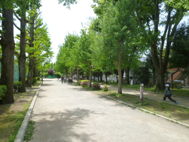 第3信和ビル 周辺画像4