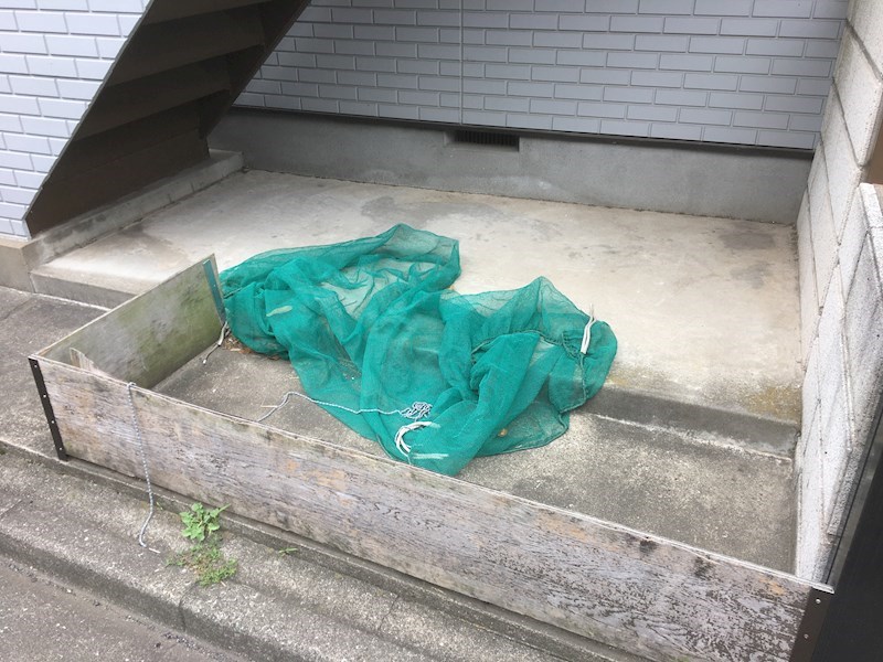 コーポ斎田 その他10