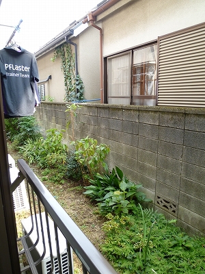 清和園 その他10