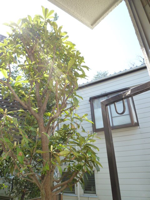 カーザビアンカＢ棟 その他17