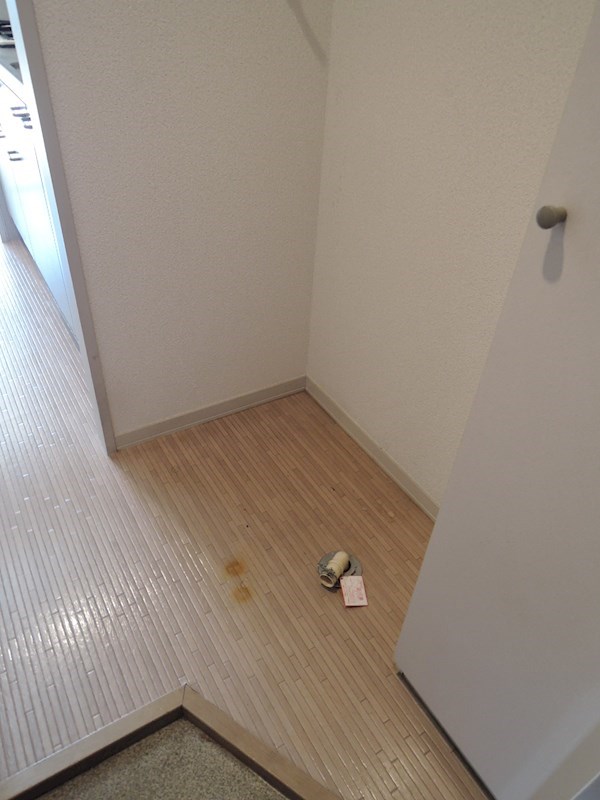 コスモ ベランダ