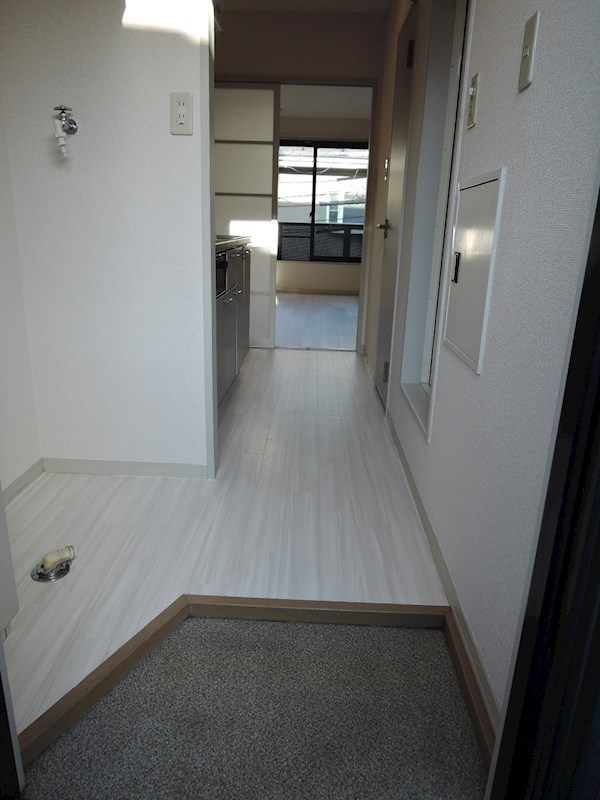 コスモ 玄関