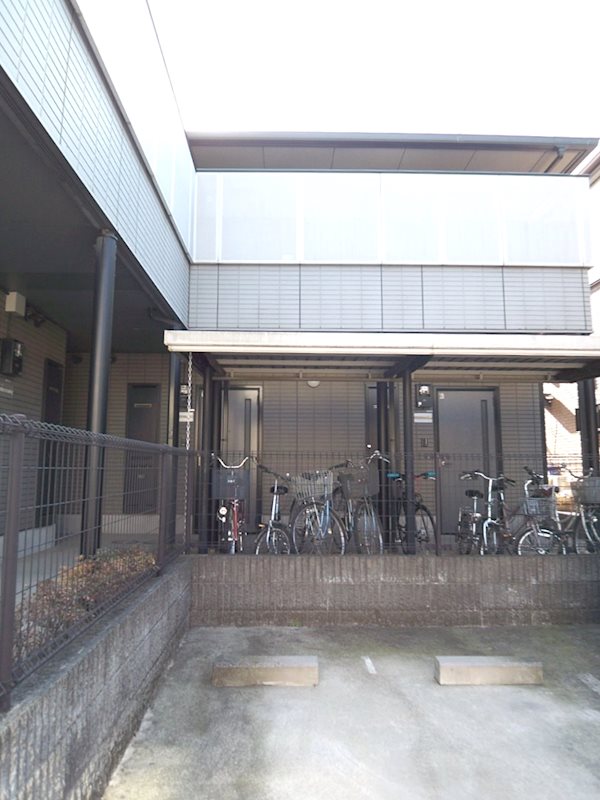 コスモ その他