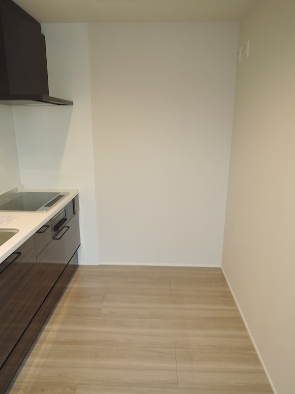 セレーナカサブランカ その他16